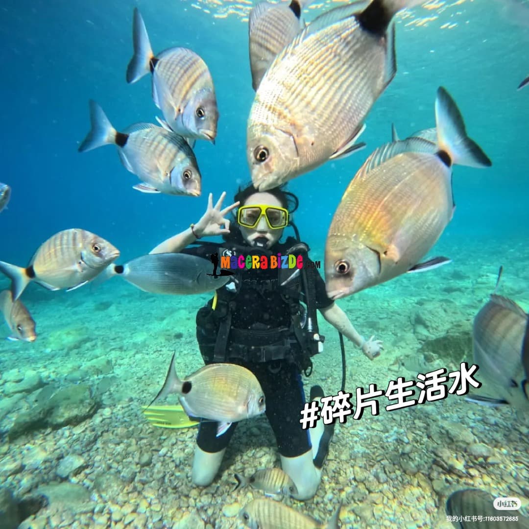 Tüplü Dalış - Fotoğraf 1