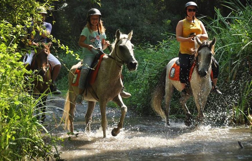 Çalış At Turu (Plaj At Turu)