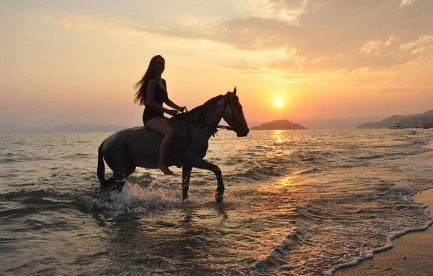 Çalış At Turu (Plaj At Turu)