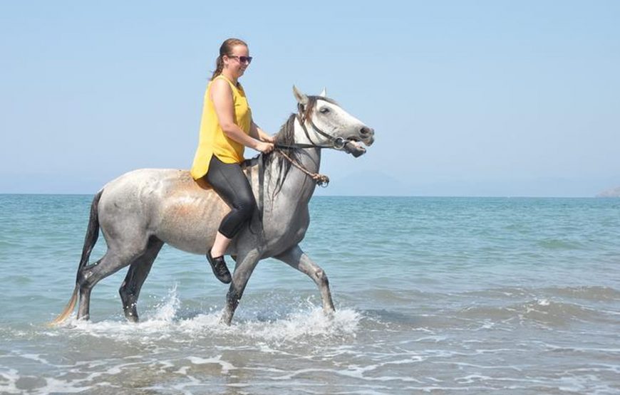 Çalış At Turu (Plaj At Turu)