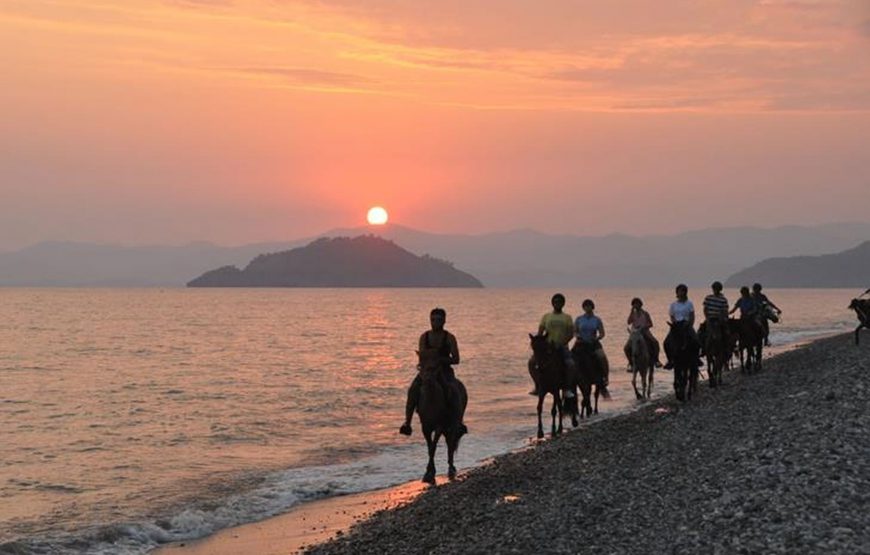 Çalış At Turu (Plaj At Turu)