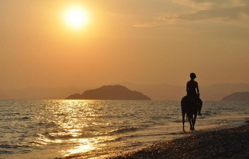 Çalış At Turu (Plaj At Turu)