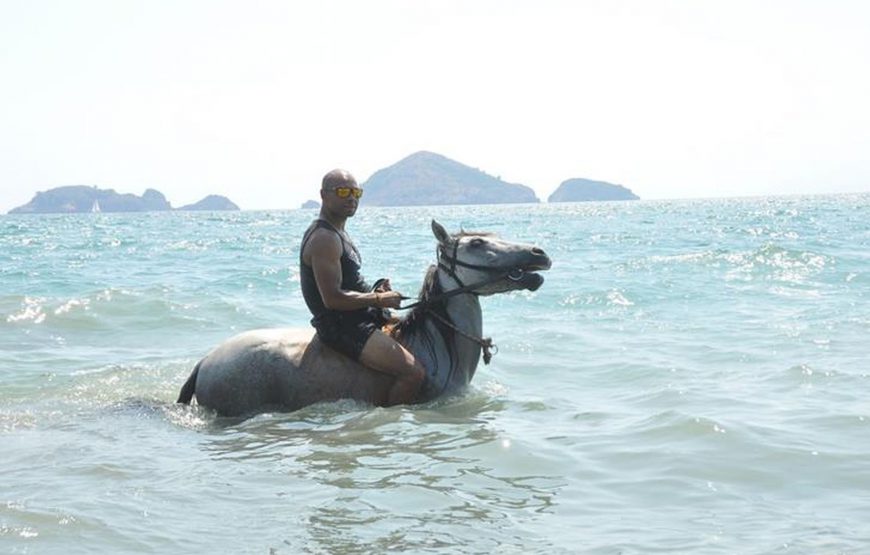 Çalış At Turu (Plaj At Turu)