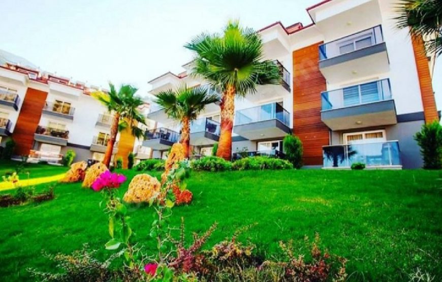 Batı Suit Apart